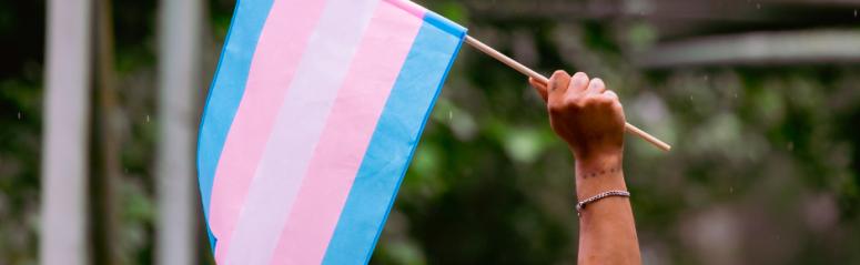 Person holding a transgender pride flag.